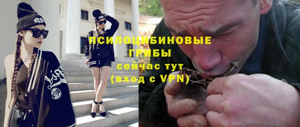 гашик Аркадак