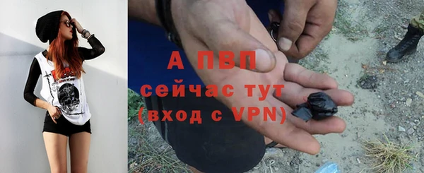 индика Арсеньев