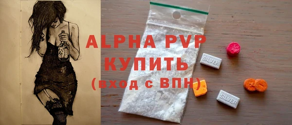 индика Арсеньев