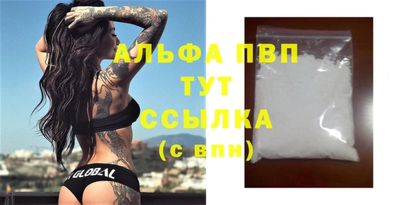 индика Арсеньев