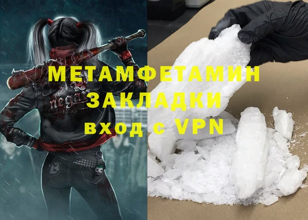 индика Арсеньев