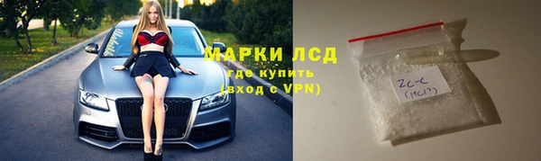 индика Арсеньев