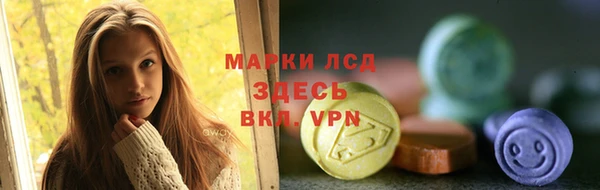 индика Арсеньев