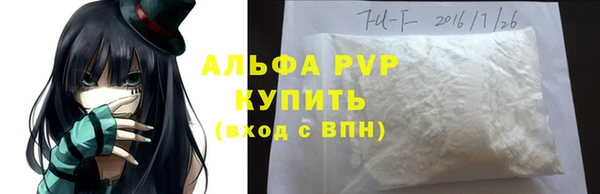 индика Арсеньев