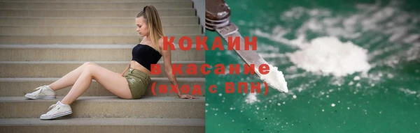 гашик Аркадак