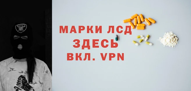 гашик Аркадак