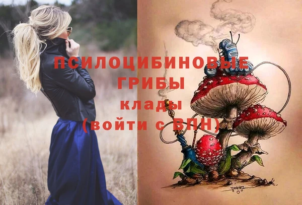 индика Арсеньев