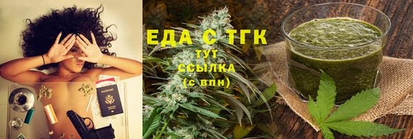 индика Арсеньев