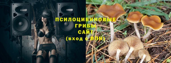 гашик Аркадак