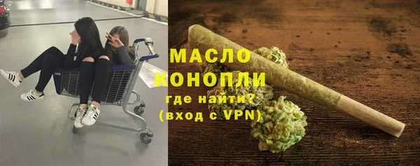 индика Арсеньев