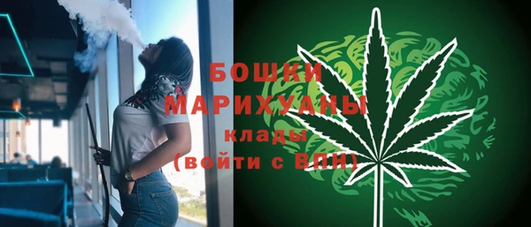 гашик Аркадак