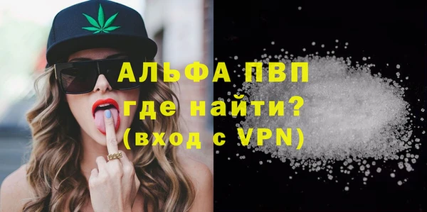 гидра Снежногорск