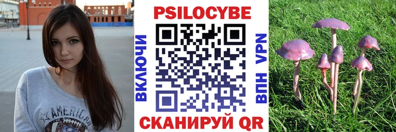 ссылка на мегу рабочий сайт  магазин продажи наркотиков  Армянск  Галлюциногенные грибы прущие грибы 